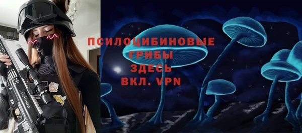 прущие грибы Баксан