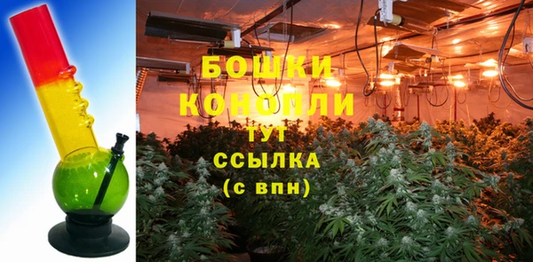 прущие грибы Баксан