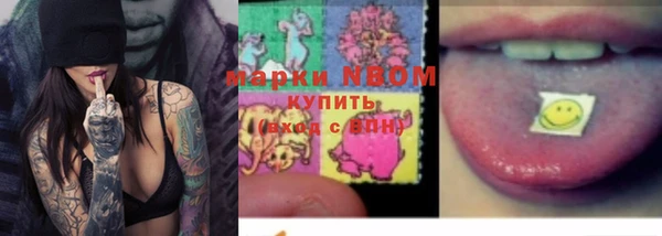 прущие грибы Баксан