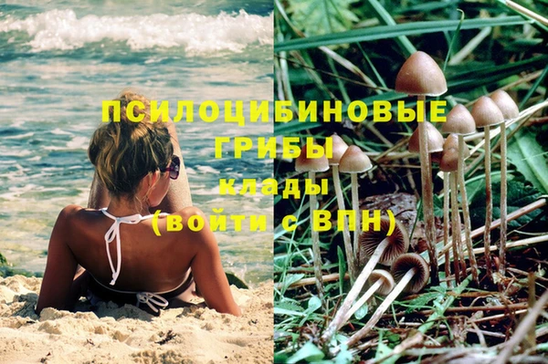 индика Балабаново
